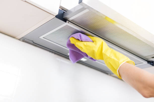 Air Duct Mold Removal in Shadow Lake, WA